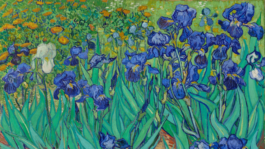 Close up of vivid orange flowers and blue irises growing above red-ochre soil.